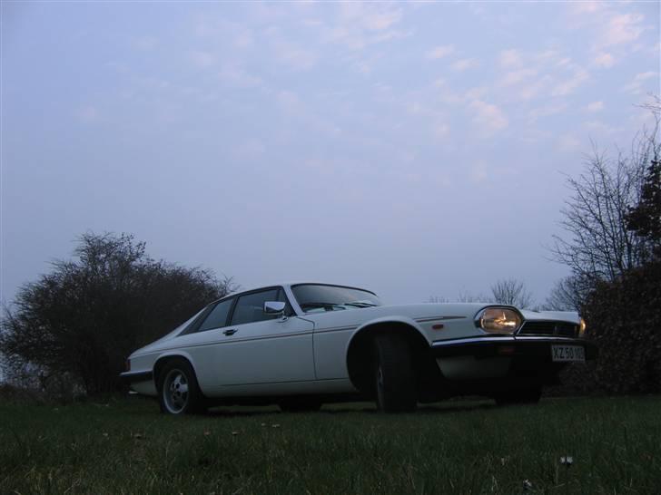 Jaguar XJS V12 HE billede 10