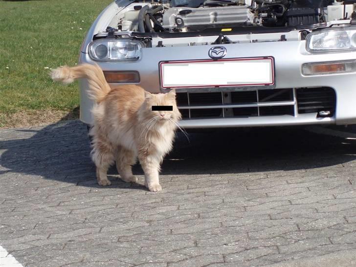 Mazda 323F 1,5 GLX billede 9