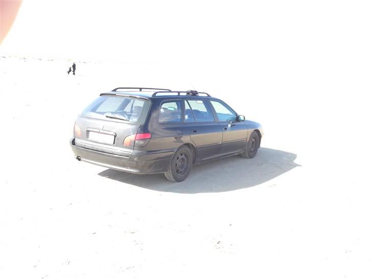 Peugeot 406 V6 stc.  - Rindby strand i højt solskin billede 9