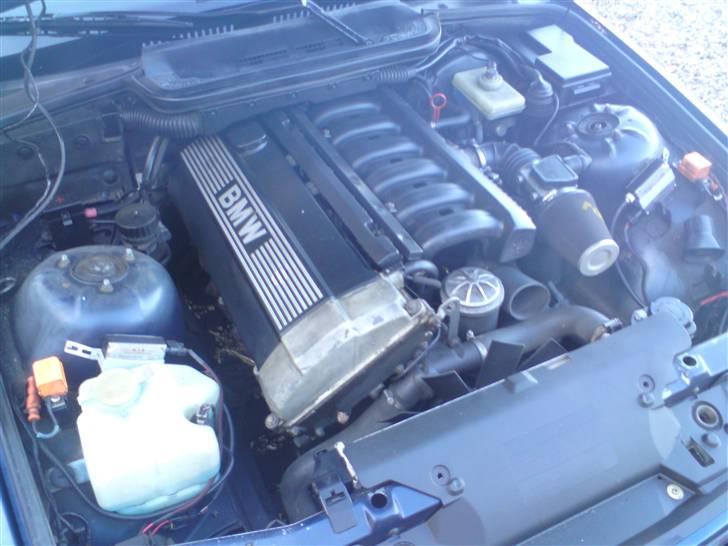 BMW 320 E36 coupe *Solgt* billede 2