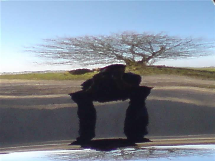 Ford Escort  billede 2