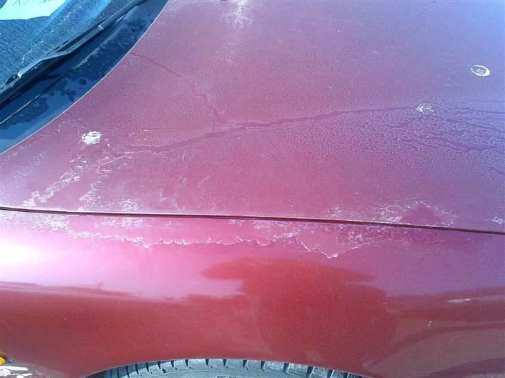 Mazda MX-6 (Projekt) (Solgt) - Lige lidt male arbejde på forskærm og Motorhjelm billede 2