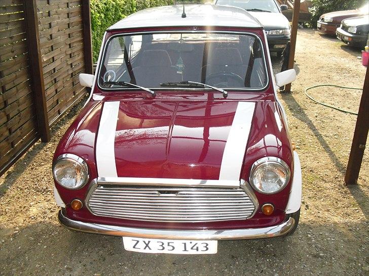 Mini maskot  billede 19