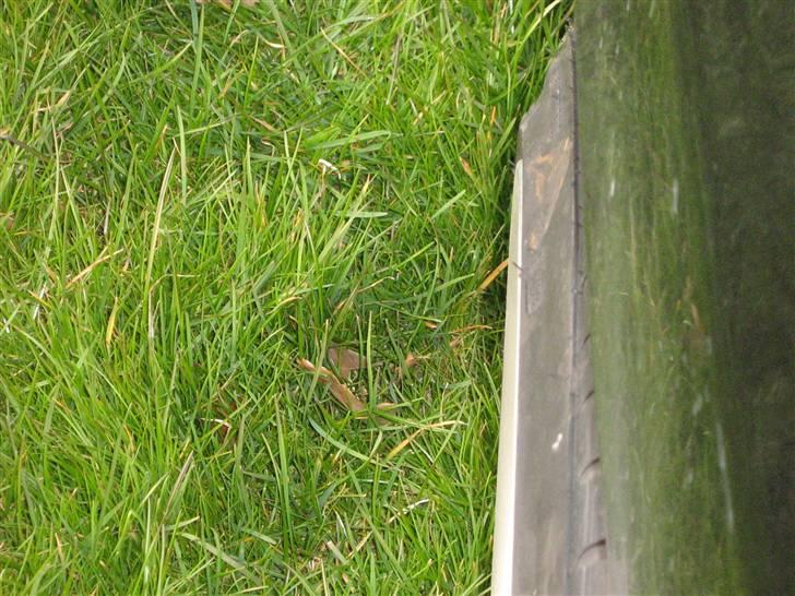 Seat cordoba 1,6 SX Til salg billede 13