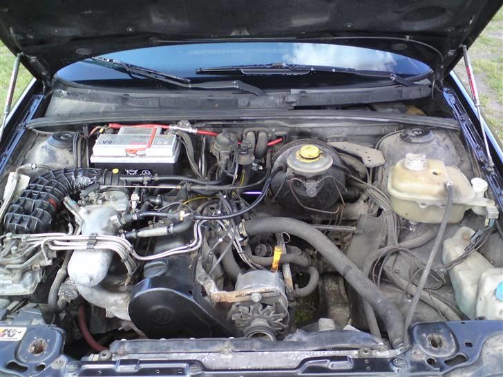 Audi 80 1,8 i Sport - Det nok en a de pæneste motor´re jeg har haft i en bil og den går rigtig godt billede 12