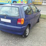 VW Polo 6N 1.6 < DØD >