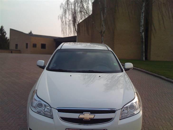 Chevrolet Epica billede 14