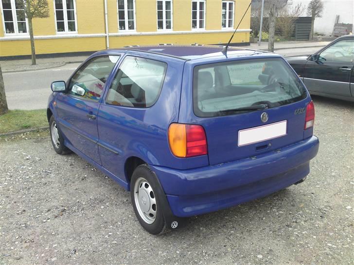 VW Polo 6N 1.6 < DØD > - Taget idag D.8-04-09 billede 4