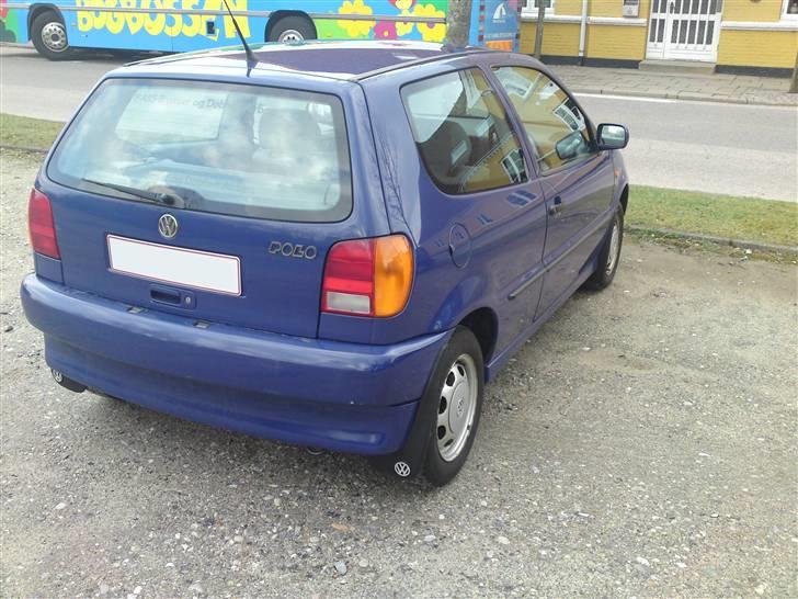 VW Polo 6N 1.6 < DØD > - Taget idag D.8-04-09 billede 5