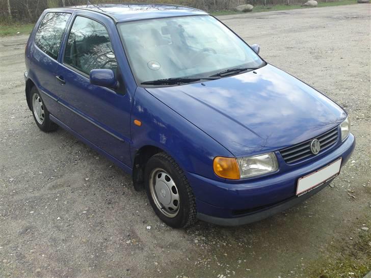 VW Polo 6N 1.6 < DØD > - Taget idag D.8-04-09 billede 7