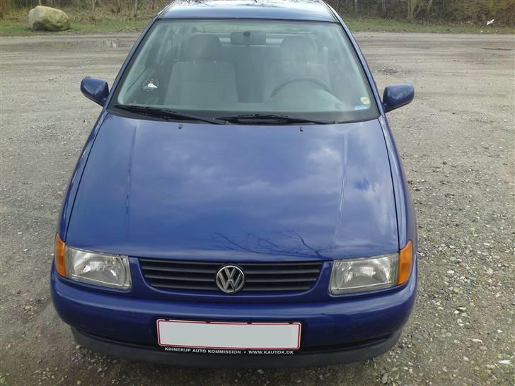 VW Polo 6N 1.6 < DØD > - Taget idag D.8-04-09 billede 8