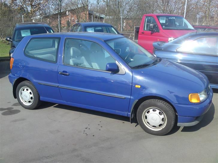 VW Polo 6N 1.6 < DØD > - 2 dage før jeg sku hente den hos forhandleren :D billede 10