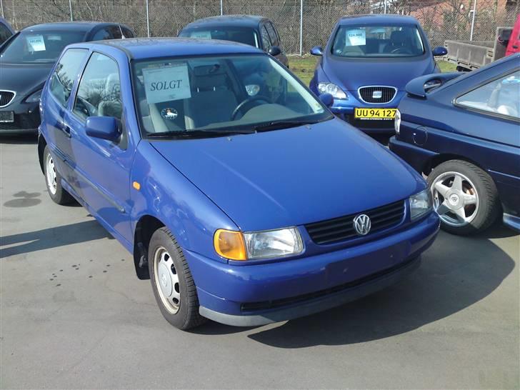 VW Polo 6N 1.6 < DØD > - 2 dage før jeg sku hente den hos forhandleren :D billede 12