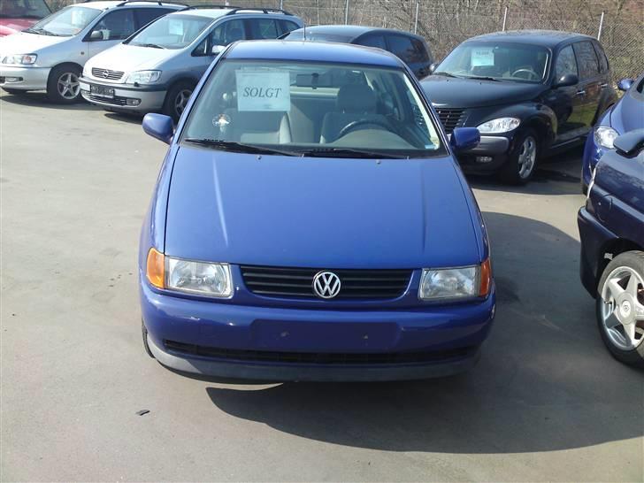 VW Polo 6N 1.6 < DØD > - 2 dage før jeg sku hente den hos forhandleren :D billede 13