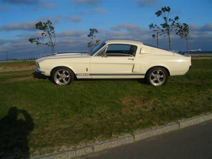 Shelby GT-350 billede 3