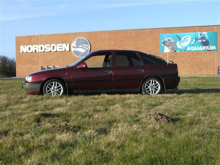 Opel Vectra 1,8I 8v sport billede 2