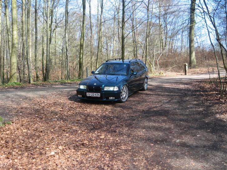 BMW E36 328i Touring "solgt" billede 11