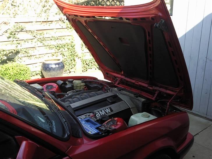 BMW E 30 Touring billede 6