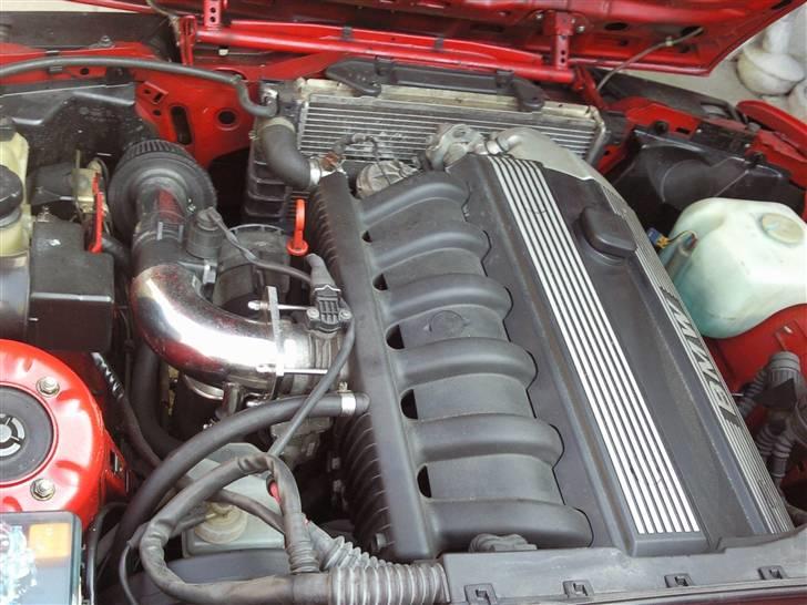 BMW E 30 Touring billede 8