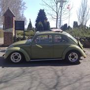 VW bobbel