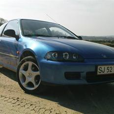 Honda Civic - SOLGT