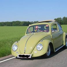 VW bobbel