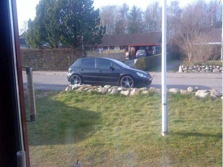 Peugeot 307 *LØVEN* SAVNET ! billede 7