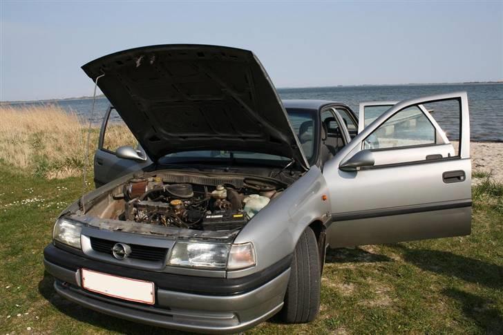 Opel Vectra 1,6 8v - Solgt billede 3