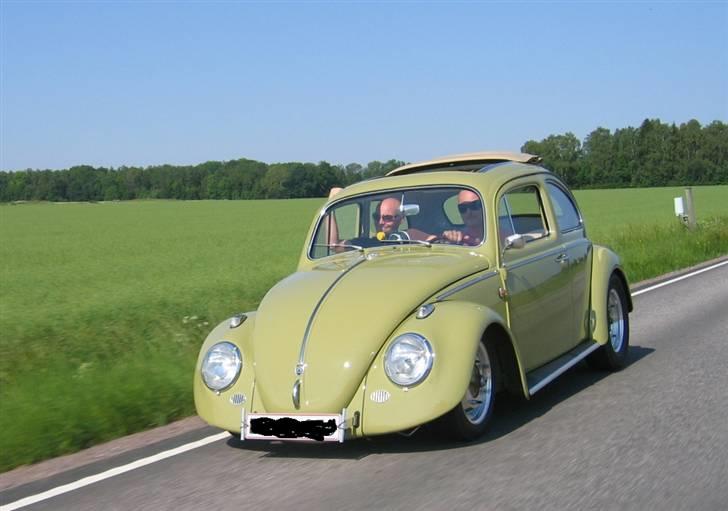 VW bobbel billede 1