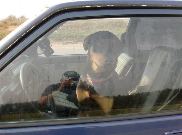 Toyota corolla GT (solgt) billede 10