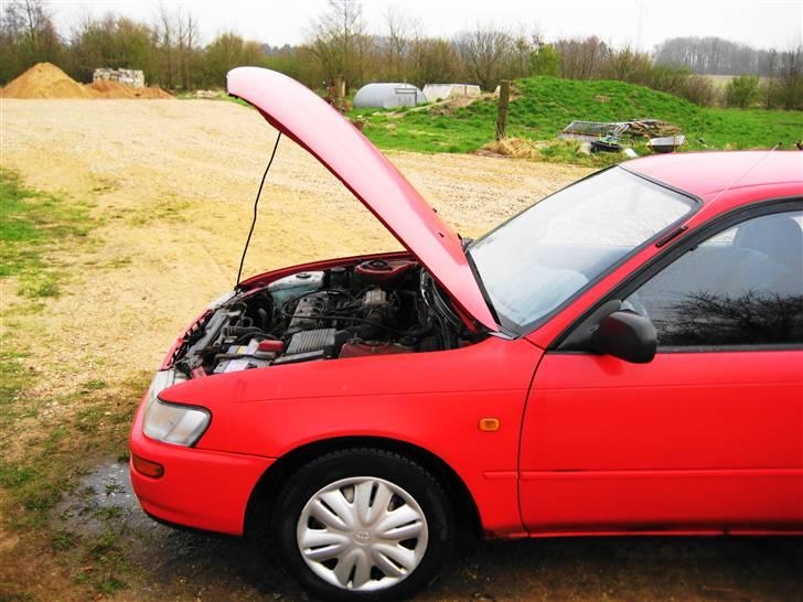 Toyota Corolla  - Det ser man aldrig IRL.... billede 8