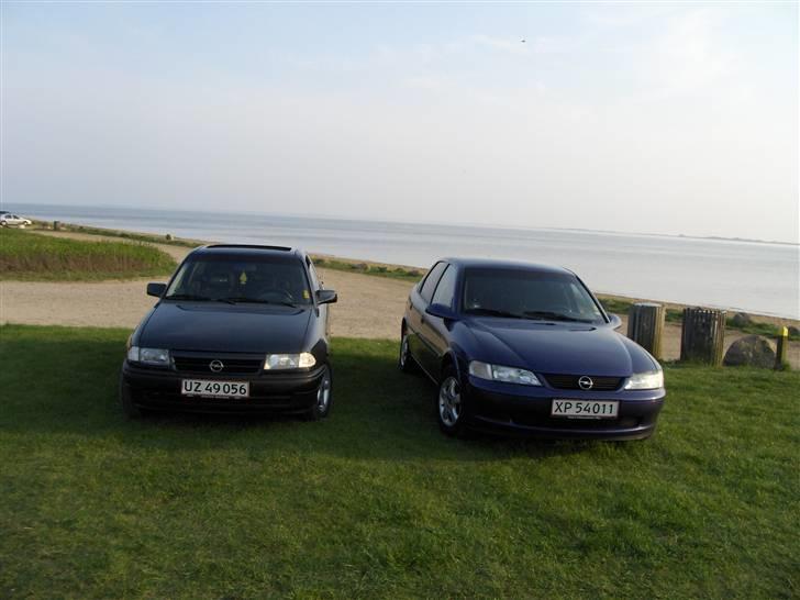 Opel Vectra B Hatchback billede 12