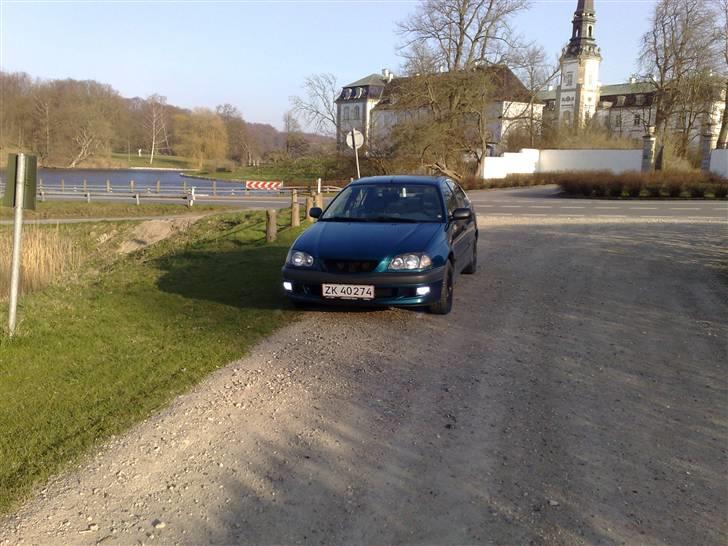 Toyota Avensis - Så kom der Xenon i tågelygterne billede 10