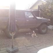 Toyota Landcruiser Hj 60½ TDI