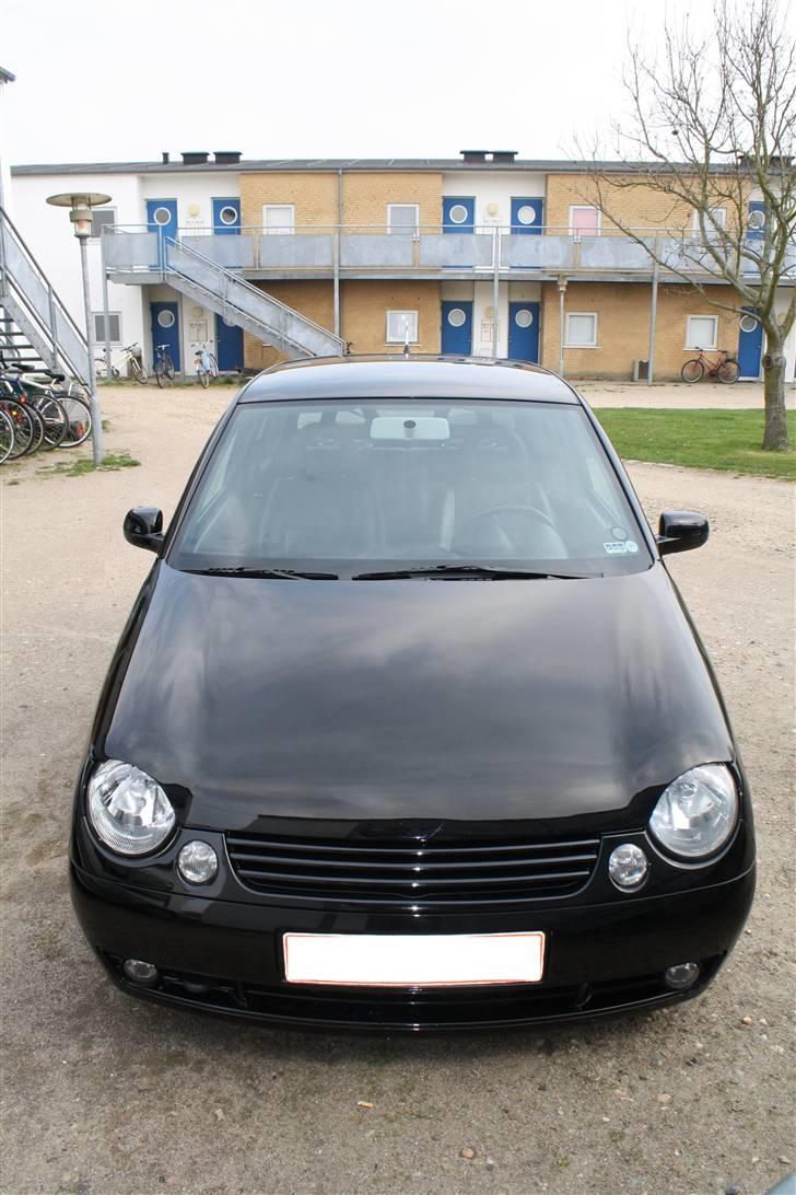 VW #Slow but Low# Lupo  - Xenon i forlygter og tågelygter... billede 8