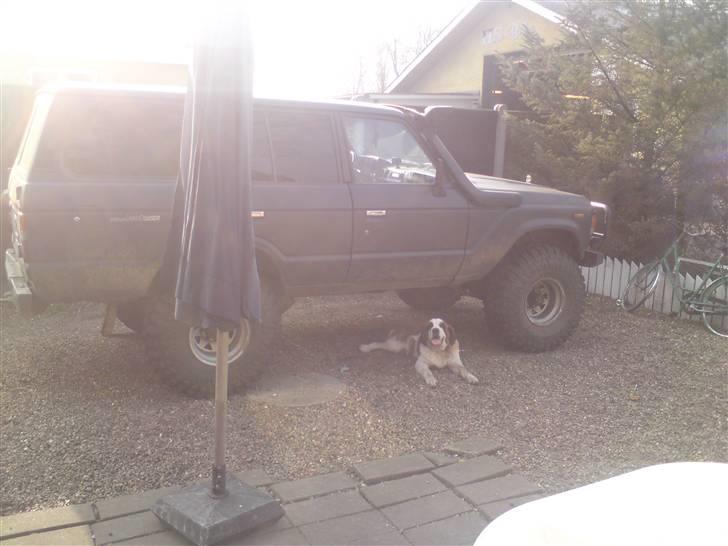Toyota Landcruiser Hj 60½ TDI - Molly under yota billede 5