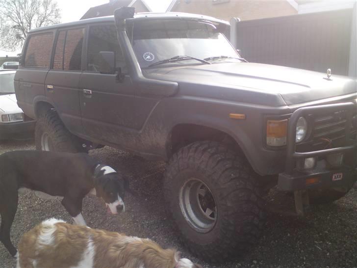 Toyota Landcruiser Hj 60½ TDI - nej, det ikke en lav bil, det bare en meget stor hund!!! :) billede 6