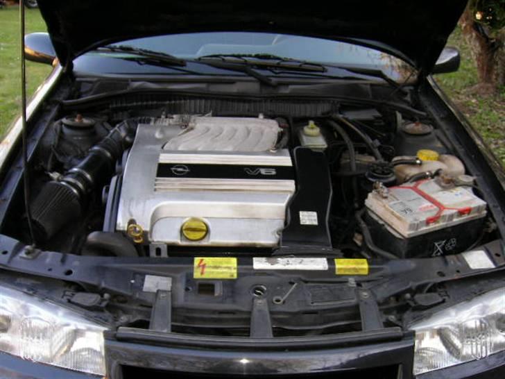 Opel calibra V6... billede 5