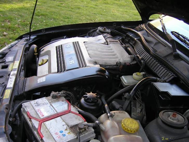 Opel calibra V6... billede 7
