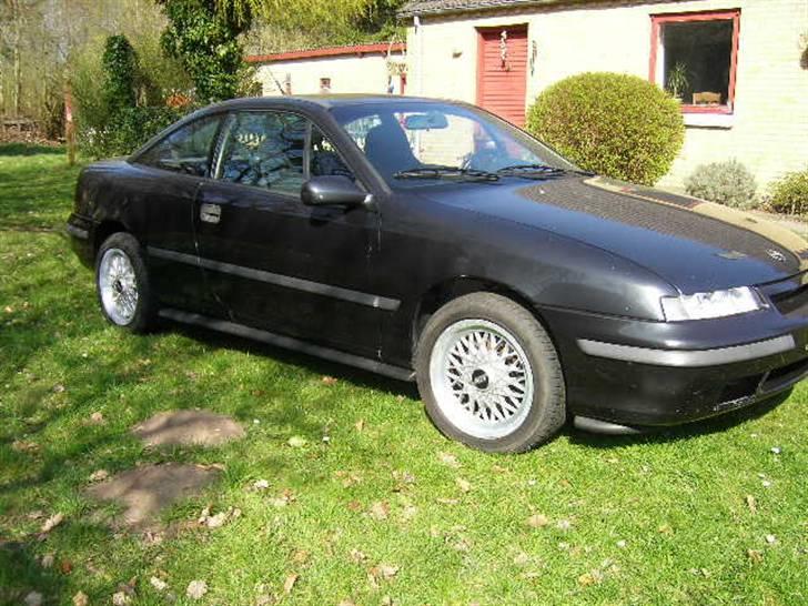Opel calibra V6... billede 12