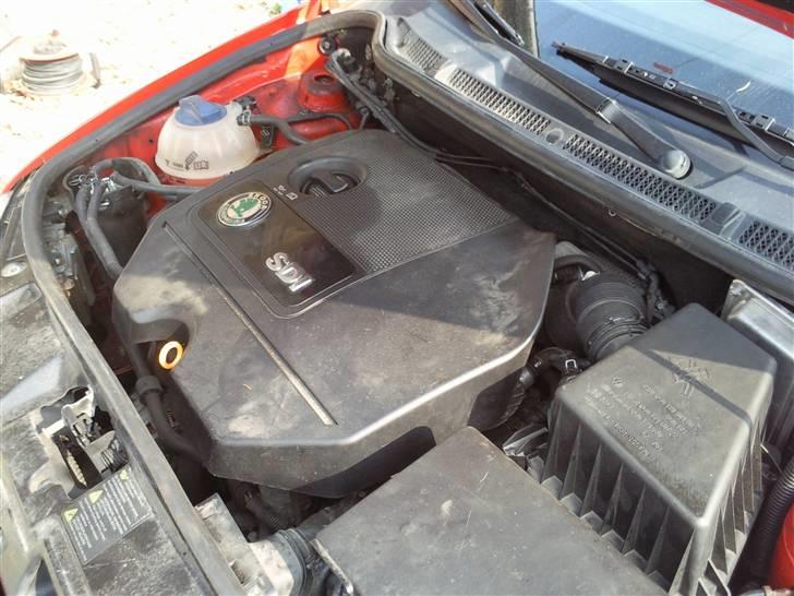 Skoda Fabia 1.9 SDI billede 14