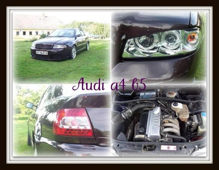 Audi a4 b5 død billede 16