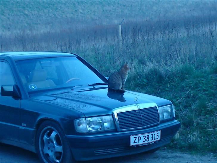 Mercedes Benz 190E 2.6 sportline.SOLGT. billede 11