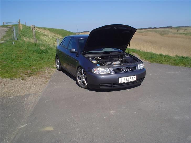 Audi A3 1.8 20v turbo billede 7