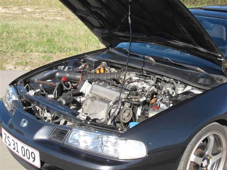 Honda Prelude billede 12