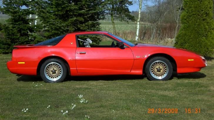 Pontiac Trans Am GTA billede 3