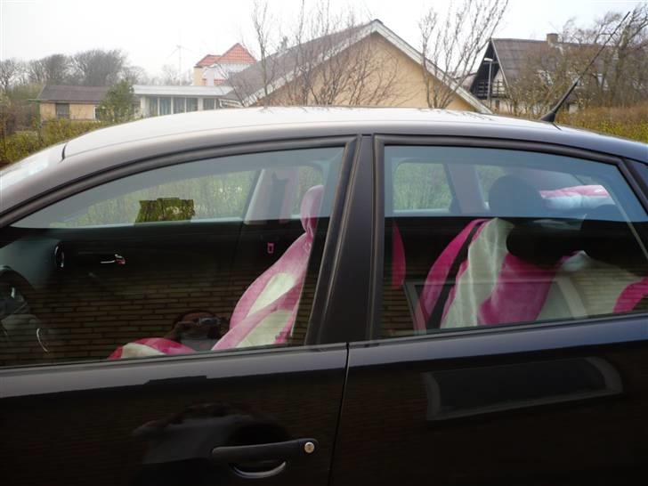 Seat Cordoba- Solgt billede 13