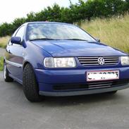 VW 6n