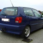 VW 6n