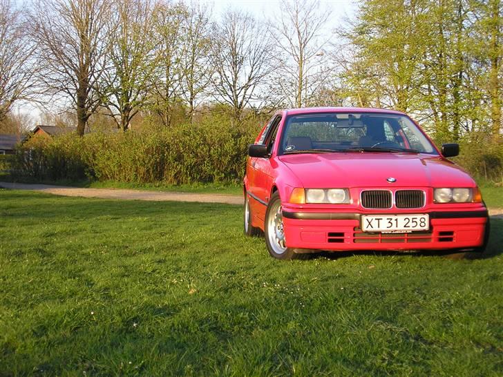 BMW 316i Compact billede 2